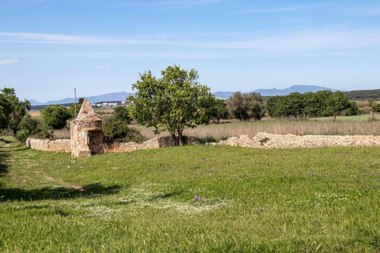 Ocells De Montgri Apartamento Rural En El Emporda Sobrestany Eksteriør billede